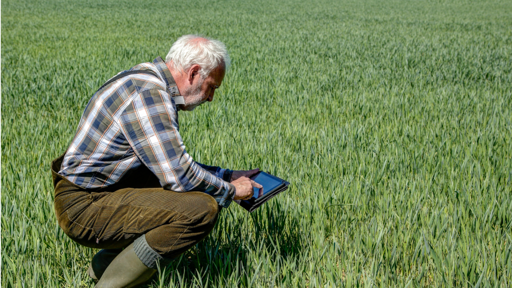 Big data and mobile delivery driving agricultural&nbsp;transformation