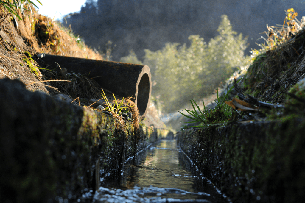 The Mental Toll of Food Insecurity