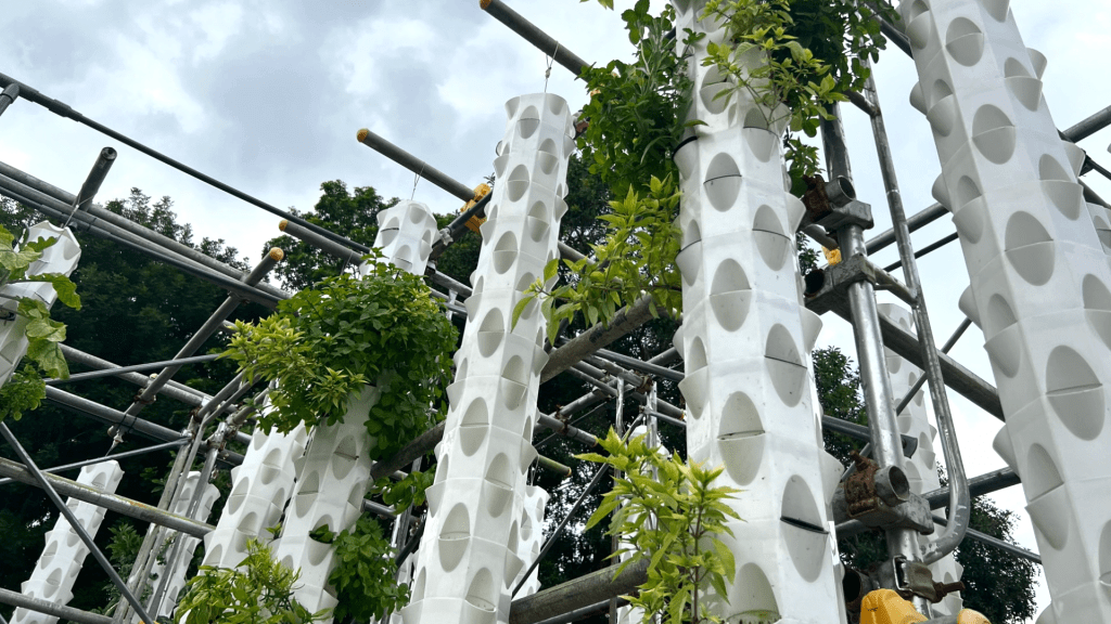 Tackling hunger in the 21st&nbsp;Century