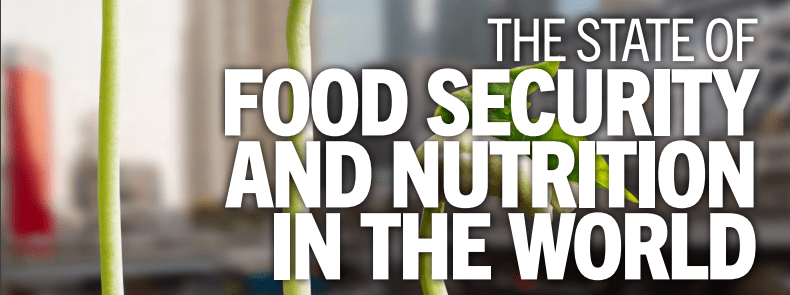 Accelerating Innovation and Investment to Tackle Food Insecurity: Insights from The State of Food Security and Nutrition in the World 2023&nbsp;Report