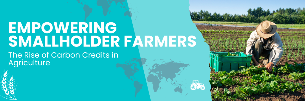 Who Really Profits from Carbon Credits? The Fight to Empower Smallholder&nbsp;Farmers