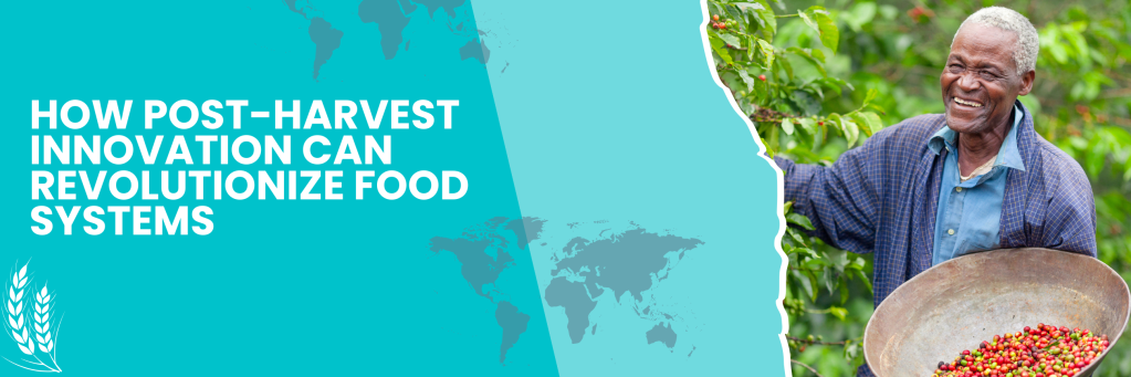 How Post-Harvest Innovation Can Revolutionize Food Systems: Insights from The Social AgTech&nbsp;Podcast